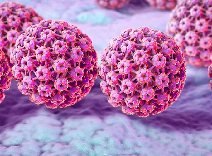 25b622dfa5a6-hpv_mediated_cancers.webp